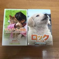 マリと子犬の物語 : 山古志村小さな命のサバイバル ロック:わんこの島