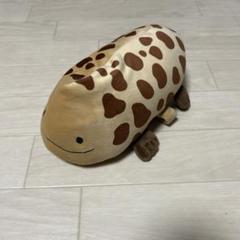 オオサンショウウオ　ぬいぐるみ　京都水族館