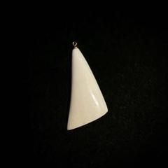 鯨歯（？） どうやって「歯をやめた」のか…？じつは、「あまりに長い紆余