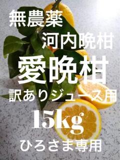 2025年最新】無農薬河内晩柑の人気アイテム - メルカリ
