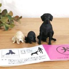 Yujin ／犬の生活 •ボストンテリア【中古開封品】✨希少商品 Yujin ／犬の生活 •ボストンテリア【中古開封品】✨希少商品