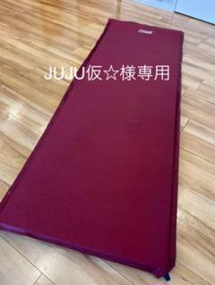 オンラインショップ】 【カメル様専用】Colemanマット インフレーター オンラインショップ】 【カメル様専用】Colemanマット インフレーター