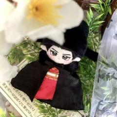 肖战　肖戦　ぬいぐるみ　20cm 本体+花の精舞台衣装 2025年最新】肖战 ぬいぐるみの人気アイテム - メルカリ