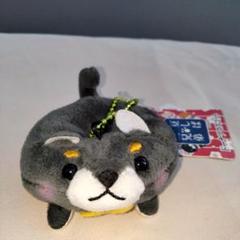豆しば三兄弟BIGぬいぐるみ 豆ジロー dwos6rj 豆しば三兄弟BIG 豆ジロー / MAMESHIBA SANKYOUDAI BIG Mamejiro
