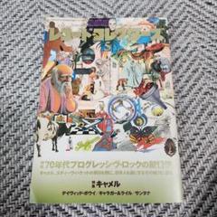 口豪奢 2点セット まとめ売り LPレコード starcastleスターキャッスル 洋楽