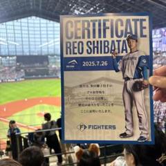 REO SHIBATA 記念証明書 背番号31