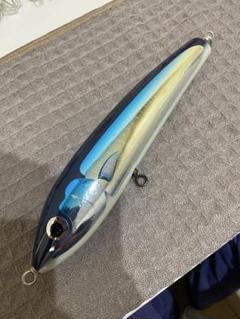 ブルーフィッシュ120 カーペンター 株）カーペンター 釣具 ルアー キャスティング GT ヒラマサ