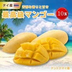 【タイ産最高級】マンゴー 10玉 ナムドクマイ ナンドクマイ368 m89610199626_1.jpg?1746199254