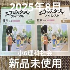 新品未使用】Z会エブリスタディ理科・社会 小6 2025年 8月号
