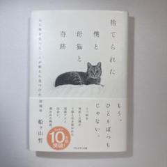 捨てられた僕と母猫と奇跡