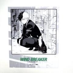 ［桜遥］windbreaker プリンセスカフェ　大判タオル 桜遥］windbreaker プリンセスカフェ 大判タオル