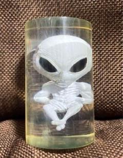 宇宙人 グレイ ホルマリン漬フィギュア キーホルダー