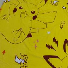 シングルサイズ タオルケット ピカチュー＆ピチュー ポケモン