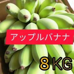 アップルバナナ120cm 3本セット 希少】沖縄本島産 南風原町農友会の「アップルバナナ」 3kg