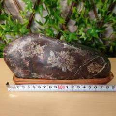 菊花石　鑑賞石　岐阜　木製台座付 菊花石 鑑賞石 4輪の花 岐阜県根尾谷産 台座付き 約20cm1.34kg