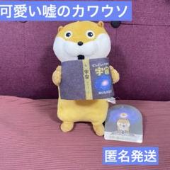 2025年最新】可愛い嘘のカワウソぬいぐるみの人気アイテム