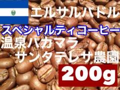 エルサルバドル温泉パカマラ サンタテレサ農園 スペシャルティコーヒー200g