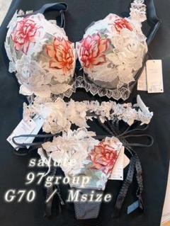 サルート☆店舗限定☆ 19G F65 & ソングM SX Amazon.co.jp: ワコール サルート 14グループ 月姫 プレステージ