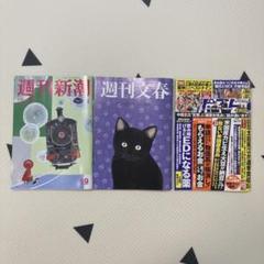 ポスト雑誌セット KD-5型（セット）Aタイプ New!