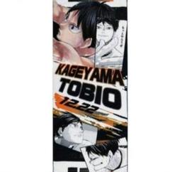 ハイキュー　フルカラーマフラータオル　影山飛雄　heroes バースデー ハイキュー フルカラーマフラータオル バースデイ バースデー 音