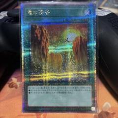 遊戯王　ロムルス　竜の渓谷　LVP2　レアコレ　アジア　25th　クオシク 竜の渓谷 25thシークレット クオシク アジア - メルカリ