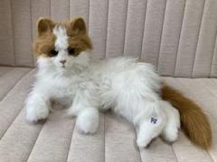 2025年最新】夢ねこヴィーナスの人気アイテム - メルカリ