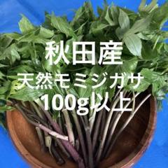 2025年最新】モミジガサの人気アイテム - メルカリ
