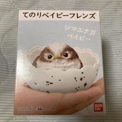 もふもふ♡てのりフレンズ シマエナガ 5羽 小鳥 スズメ 野鳥 アイドル 妖精 もふもふ・てのりフレンズ｜発売日：2024年4月22日｜バンダイ
