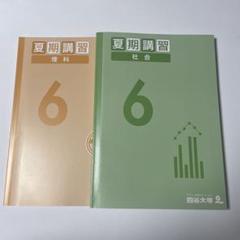 四谷大塚６年　春期/夏期講習　国算理　書き込み小　2019年度 2025年最新】6年 夏期講習 四谷大塚の人気アイテム - メルカリ