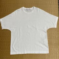 未使用23区L 48 大きいサイズ ALBINIジャージーカットソー 白T 半袖 未使用23区L 48 大きいサイズ ALBINIジャージーカットソー 白T