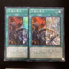 汎神の帝王　管理番号茶色