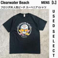 【US古着】フロリダ州 Clearwater Beach スカルTシャツ L