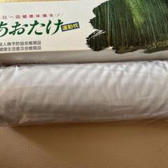 あおたけまくら