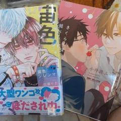 商業 BL 新刊 含 組み換え可能　宙色ジレンマ