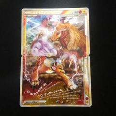 2025年最新】エンテイ＆ライコウ legendの人気アイテム - メルカリ