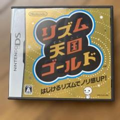 ニンテンドーDS ケース