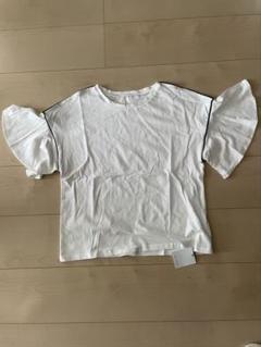 Tシャツ　半袖　フリル袖