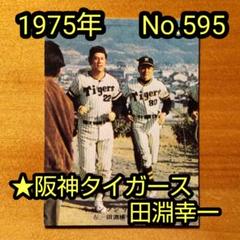 カルビープロ野球カード1978年阪神タイガース田淵幸一