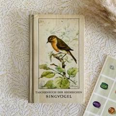 1910年代 イギリスの鳥図鑑　鳥の図鑑　ヴィンテージ 2025年最新】図鑑 鳥 洋書の人気アイテム - メルカリ