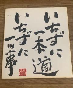 石田未来　直筆サイン入り色紙 石田未来 直筆サイン入り色紙