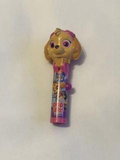 【新品未使用】パウパトロールPAW Patrol スカイ チュッパチャプスケース