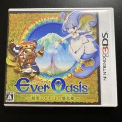 3DS Ever Oasis 精霊とタネビトの蜃気楼　エヴァーオアシス