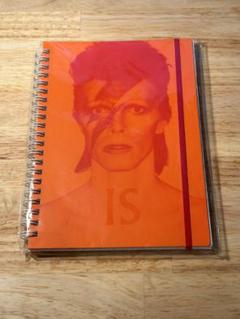 シュリンク未開封新品　デヴィッド・ボウイ・イズ　DAVID BOWIE IS シュリンク未開封新品デヴィッド・ボウイ・イズDAVID BOWIE IS