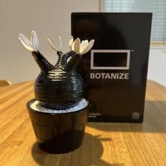 BOTANIZE ボタナイズ グラキリス メディコムトイ フィギュアのサムネイル