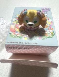2025年最新】カムファインドスプリング クッキーアンの人気