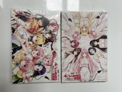 To LOVEる15周年記念原画展 ポストカードA/B 2冊セット To LOVEる15周年記念原画展 ポストカードA/B 2冊セット - メルカリ