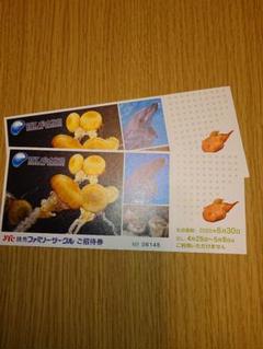 新江ノ島水族館 入園券 2枚