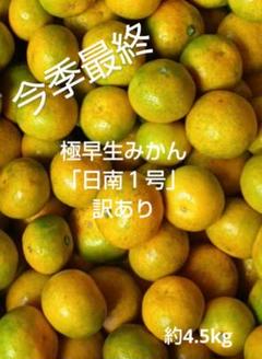 463長崎産訳あり極早生みかん「日南一号」約4.5㎏ - メルカリ