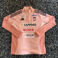 アルビレックス新潟トレーニングウエア25モデル 試着のみ - メルカリ