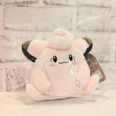 2025年最新】ポケモンセンターオリジナル ぬいぐるみ ピッピの